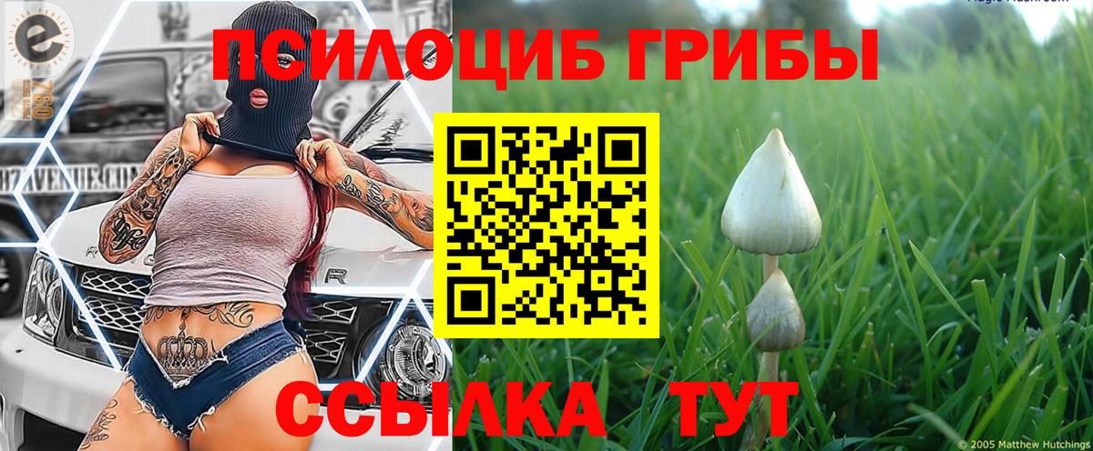 Галлюциногенные грибы GOLDEN TEACHER Ухта